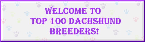 Miniature Dachshund Breeders and Kennels